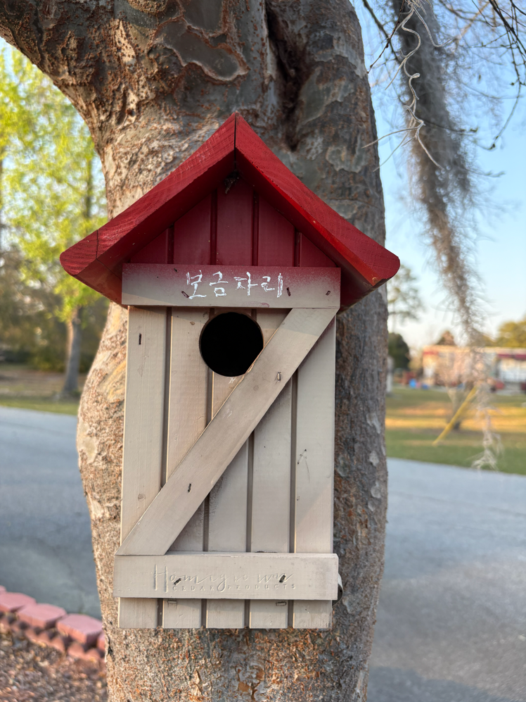 Sweet Home, Cozy Home, 보금자리